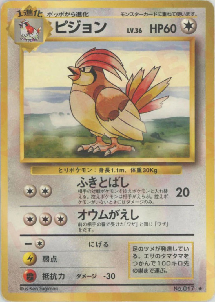 ピジョンのカード画像