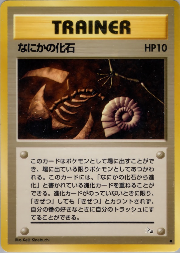 なにかの化石のカード画像